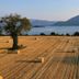 Utomhus