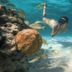 Övrigt