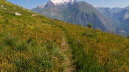 Hotell i Les Deux-Alpes