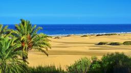 Hyrbilar i Maspalomas