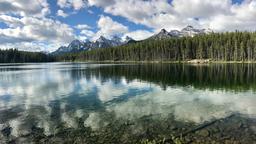 Alberta hotell