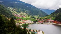 Hotellkatalog för Uzungöl