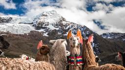 Hotellkatalog för Cuzco
