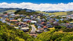Flyg till Wellington