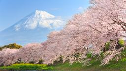 Tokyo prefektur semesterboende