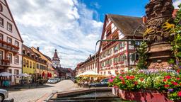 Schwarzwald semesterboende