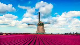 Holland hotell