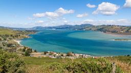 Hotell nära Dunedin flygplats