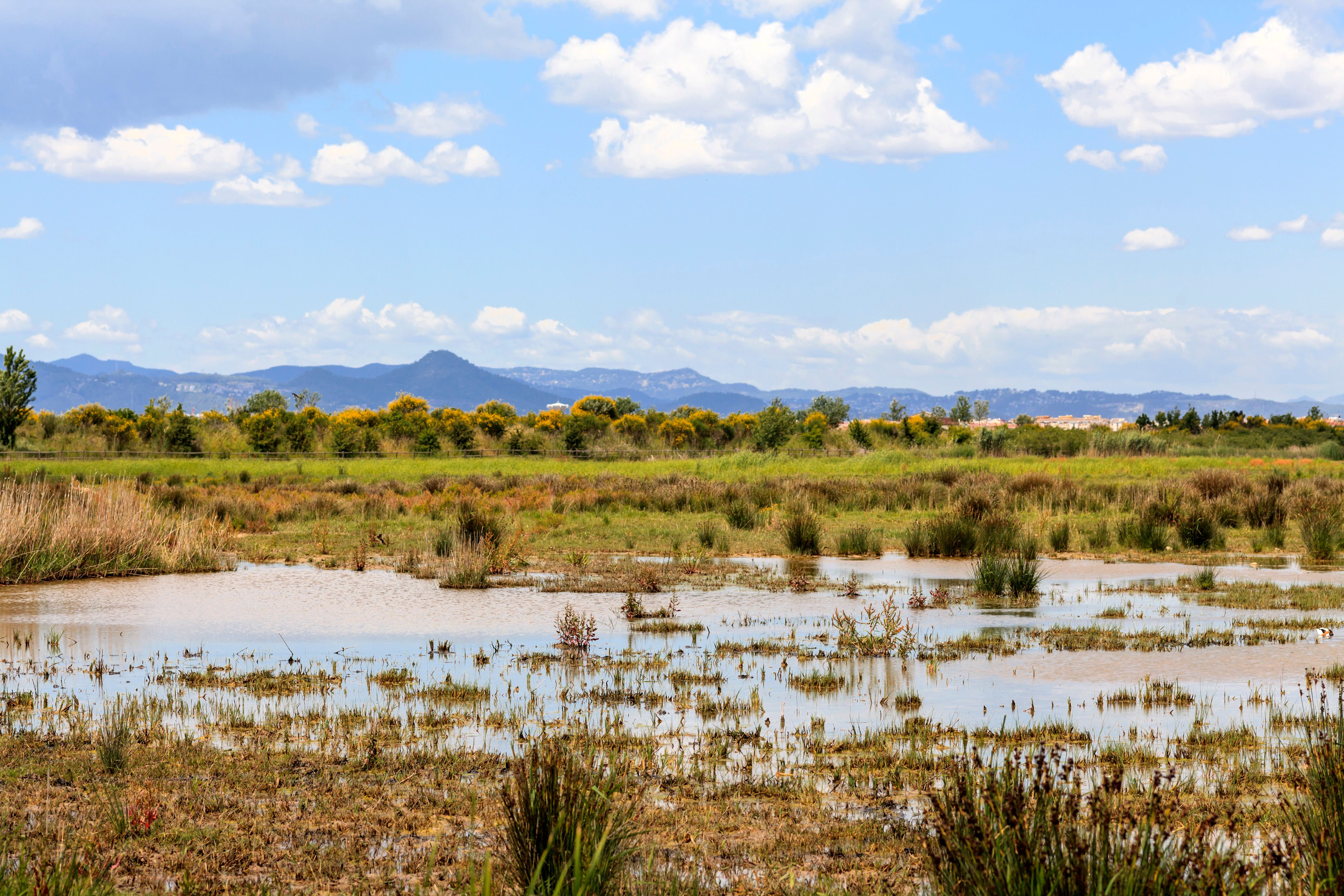Hyrbilar i el Prat de Llobregat