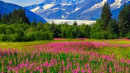Alaska hotell