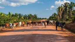 Rondônia semesterboende