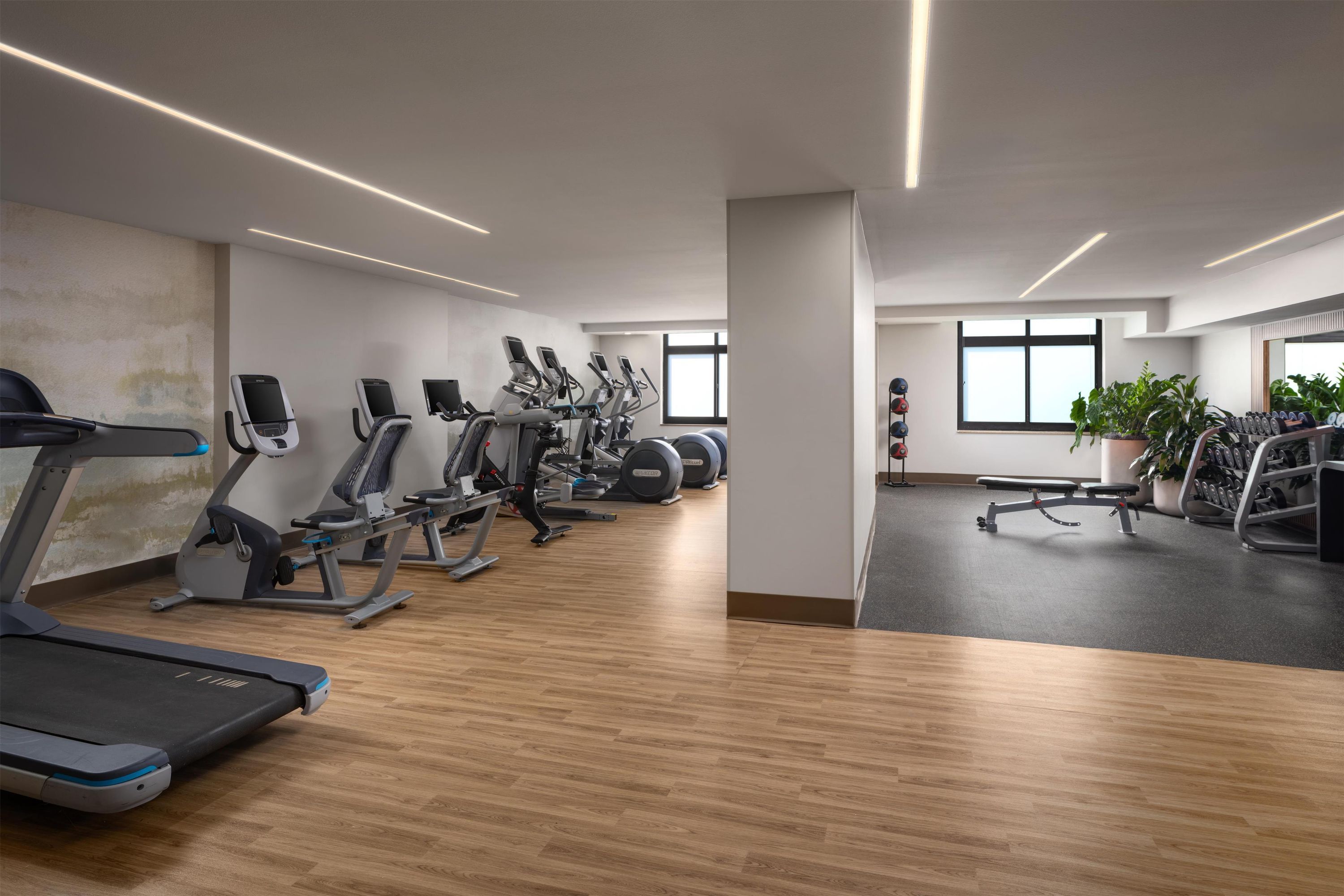 Gym