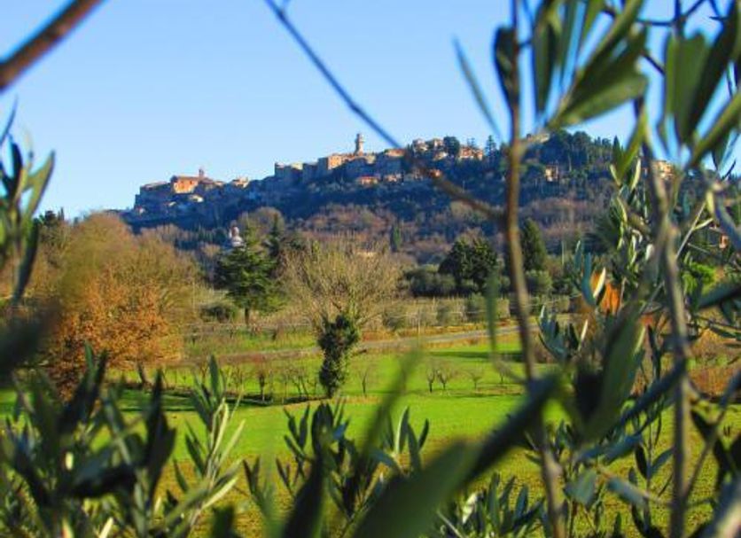 Utomhus Foto