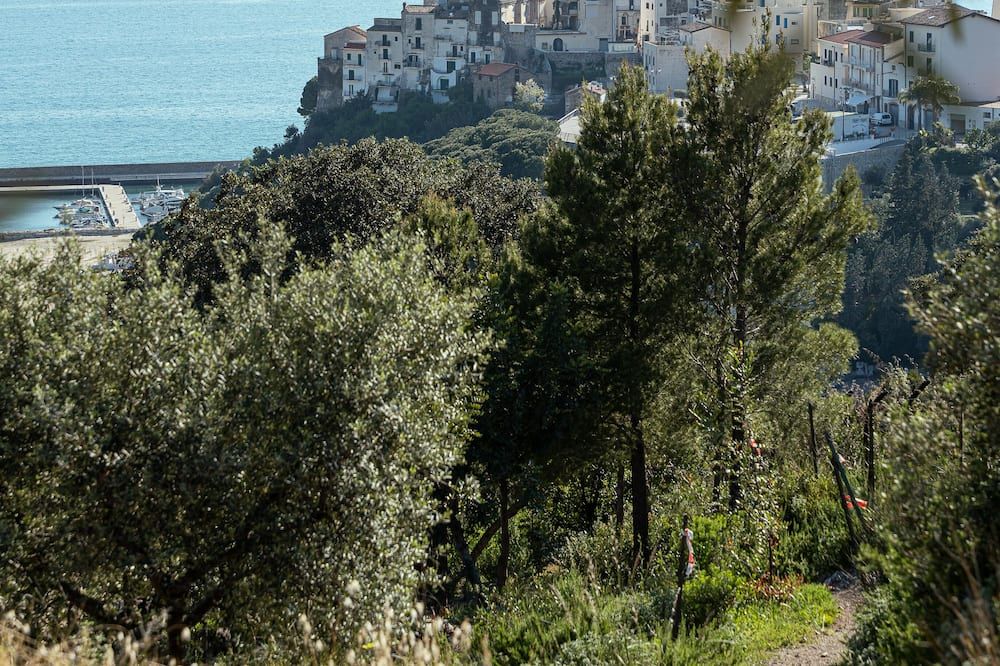 Utomhus Foto