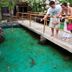 Övrigt