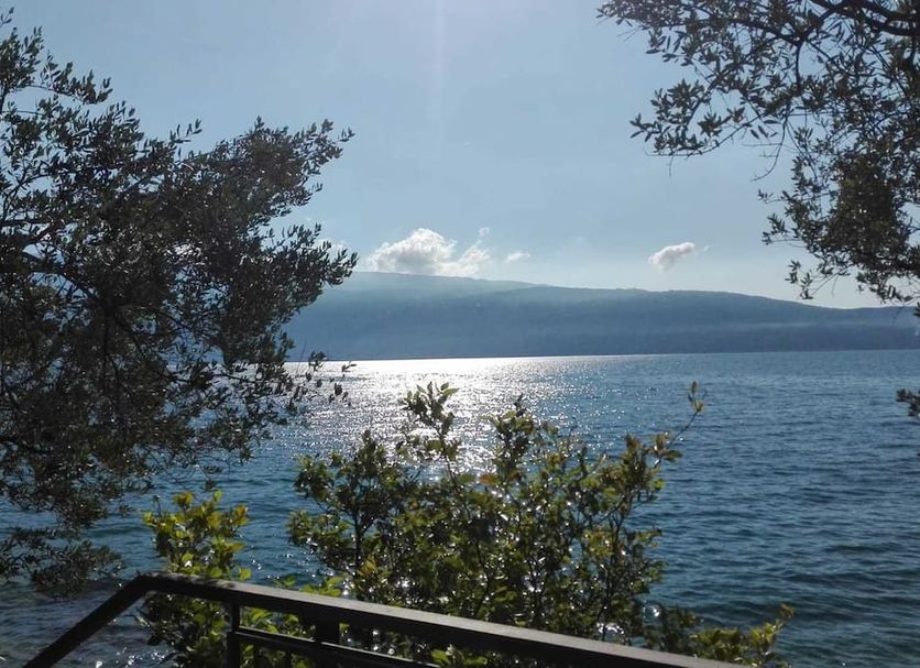 Utomhus Foto
