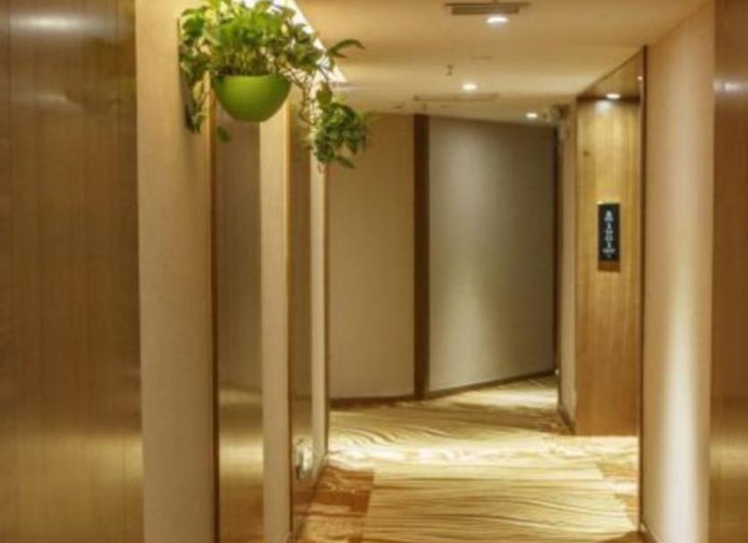 Hall Foto