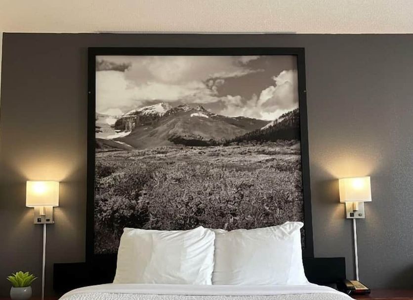 Övrigt Foto