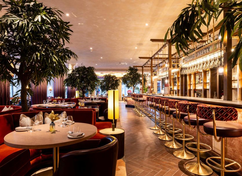 Restaurang Foto