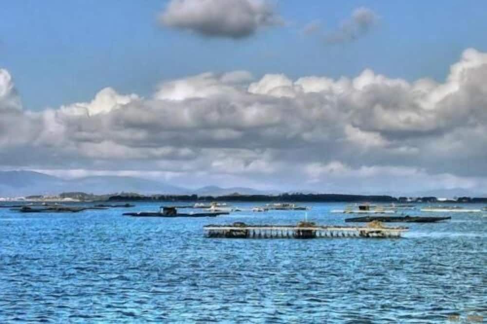 Utomhus Foto