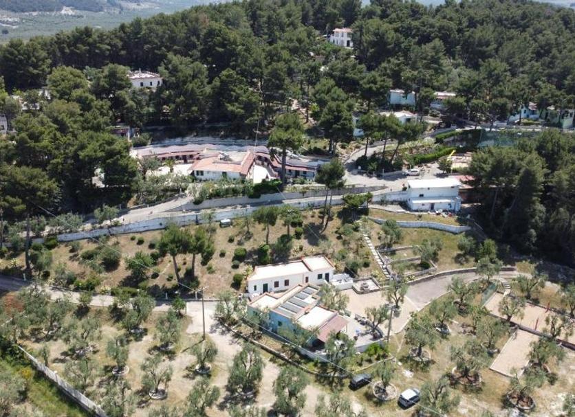 Utomhus Foto