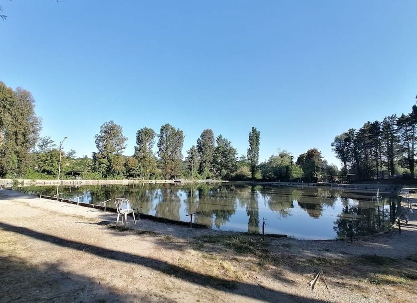 Övrigt Foto