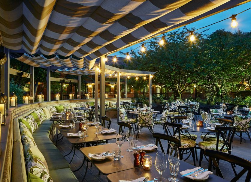Restaurang Foto