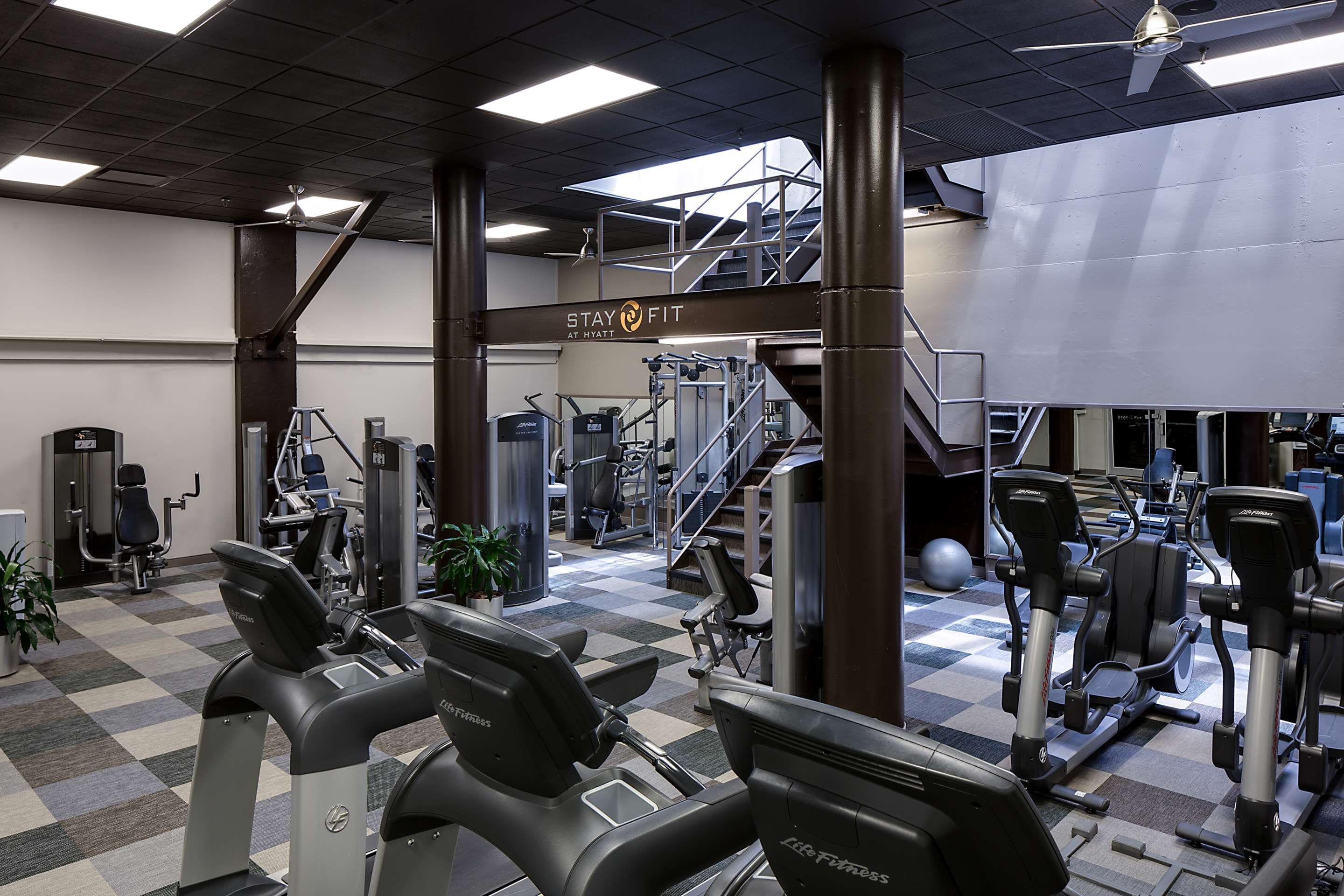 Gym
