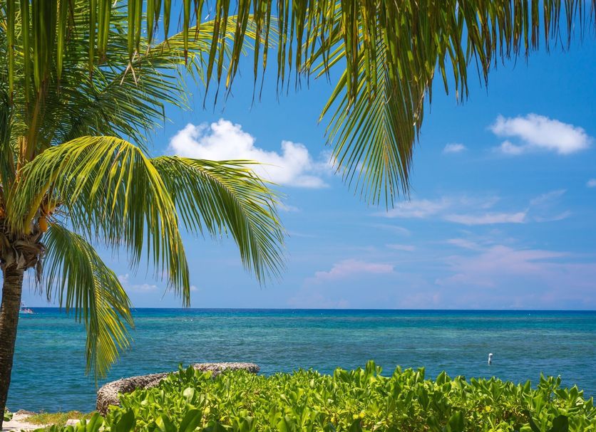 Strand Foto