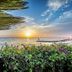 Övrigt