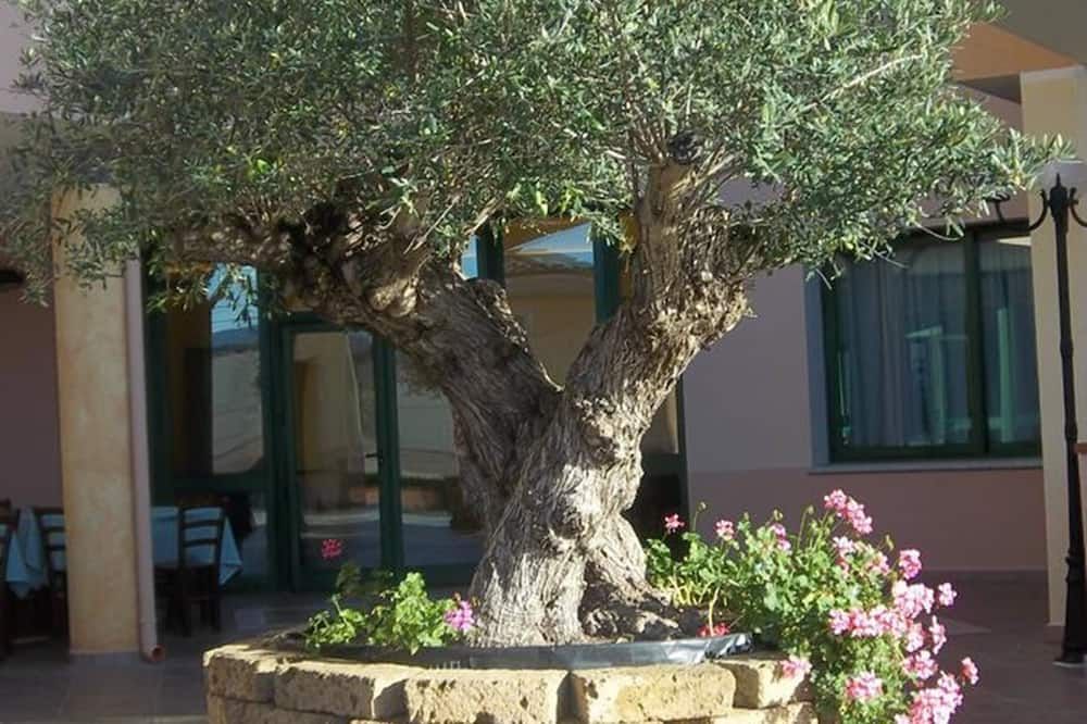 Utomhus Foto