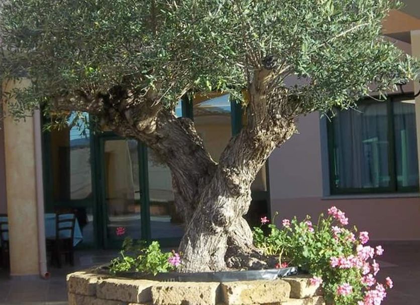 Utomhus Foto
