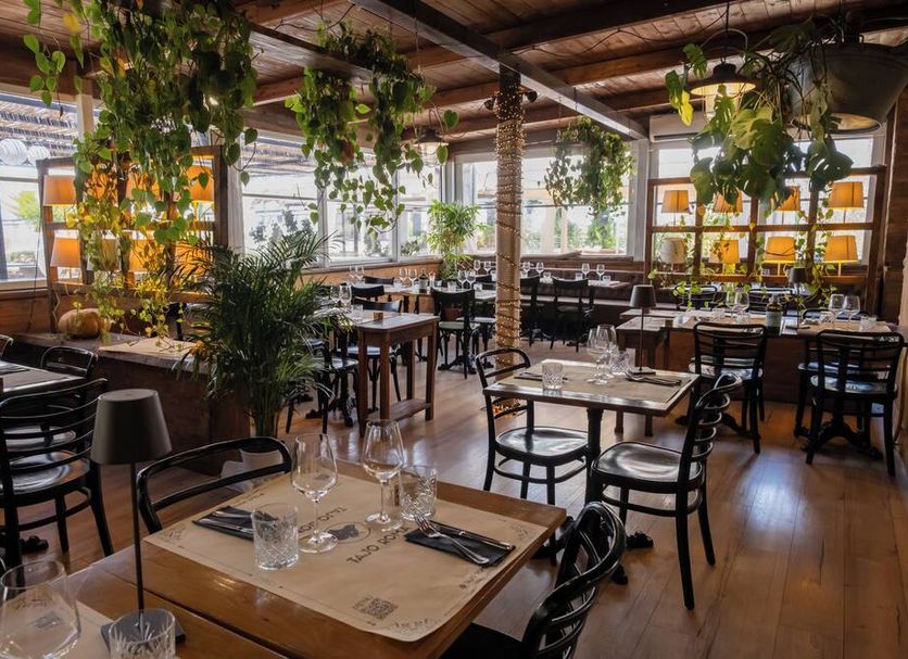 Restaurang Foto