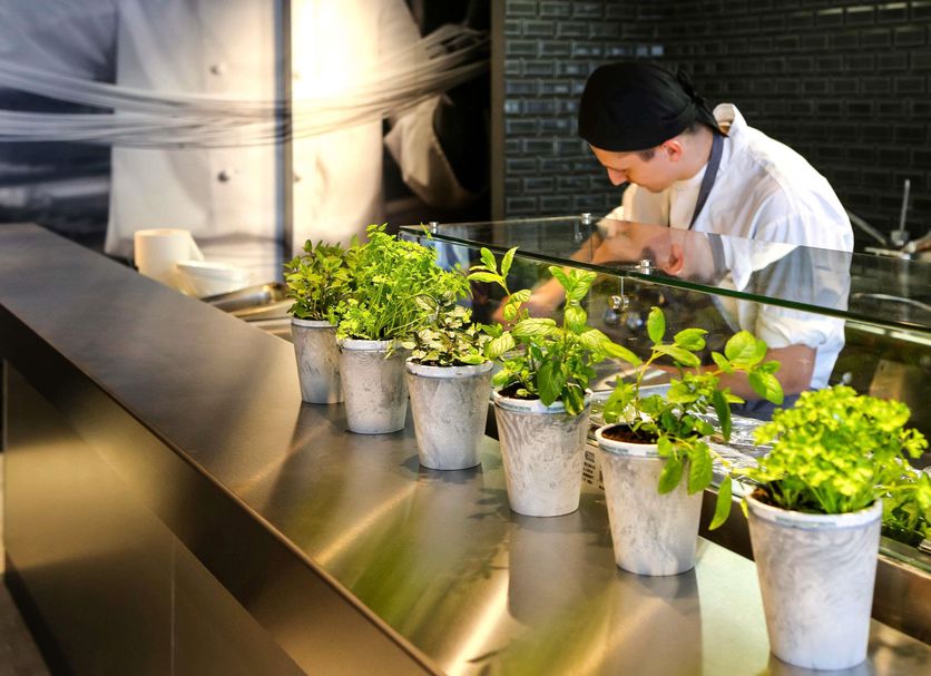 Restaurang Foto