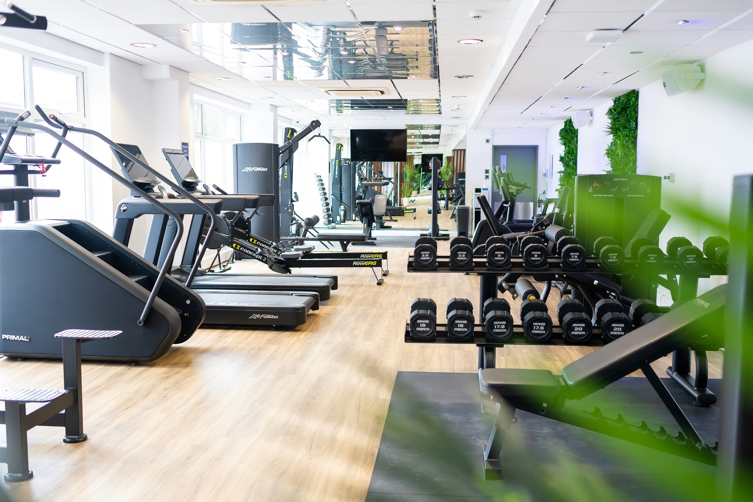 Gym