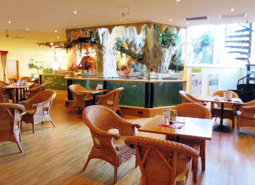 Restaurang Foto