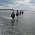 Övrigt