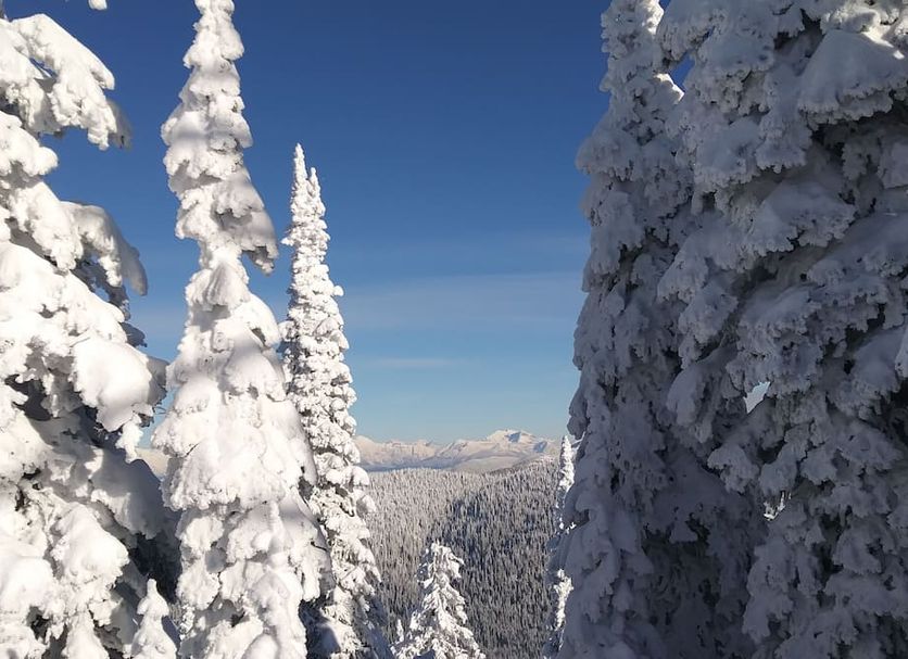 Övrigt Foto