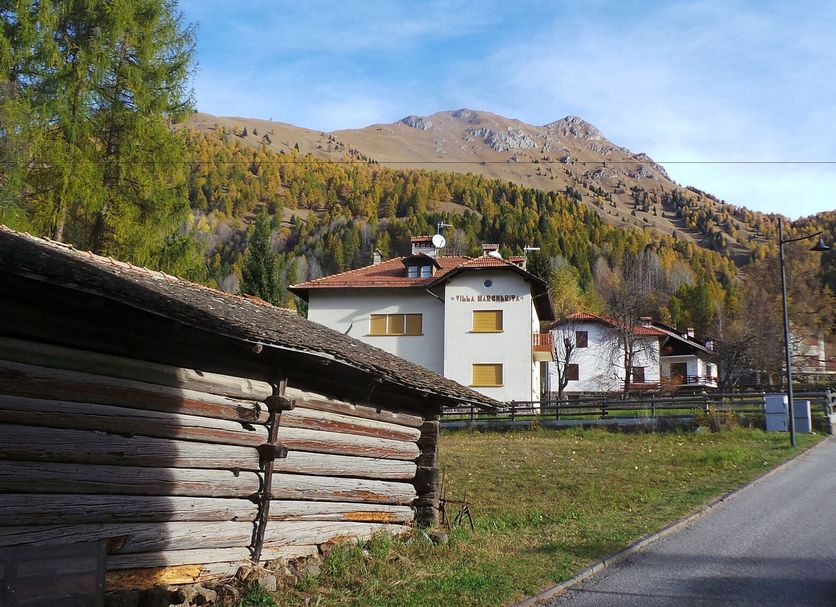 Utomhus Foto