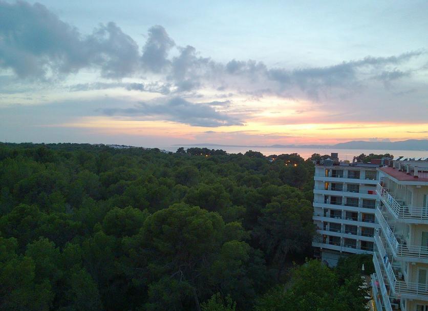Utomhus Foto