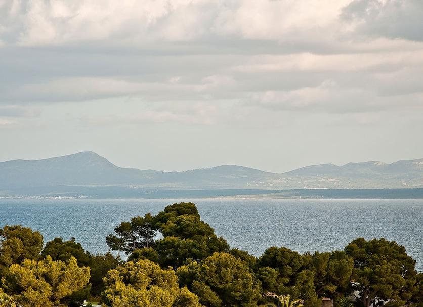 Utomhus Foto
