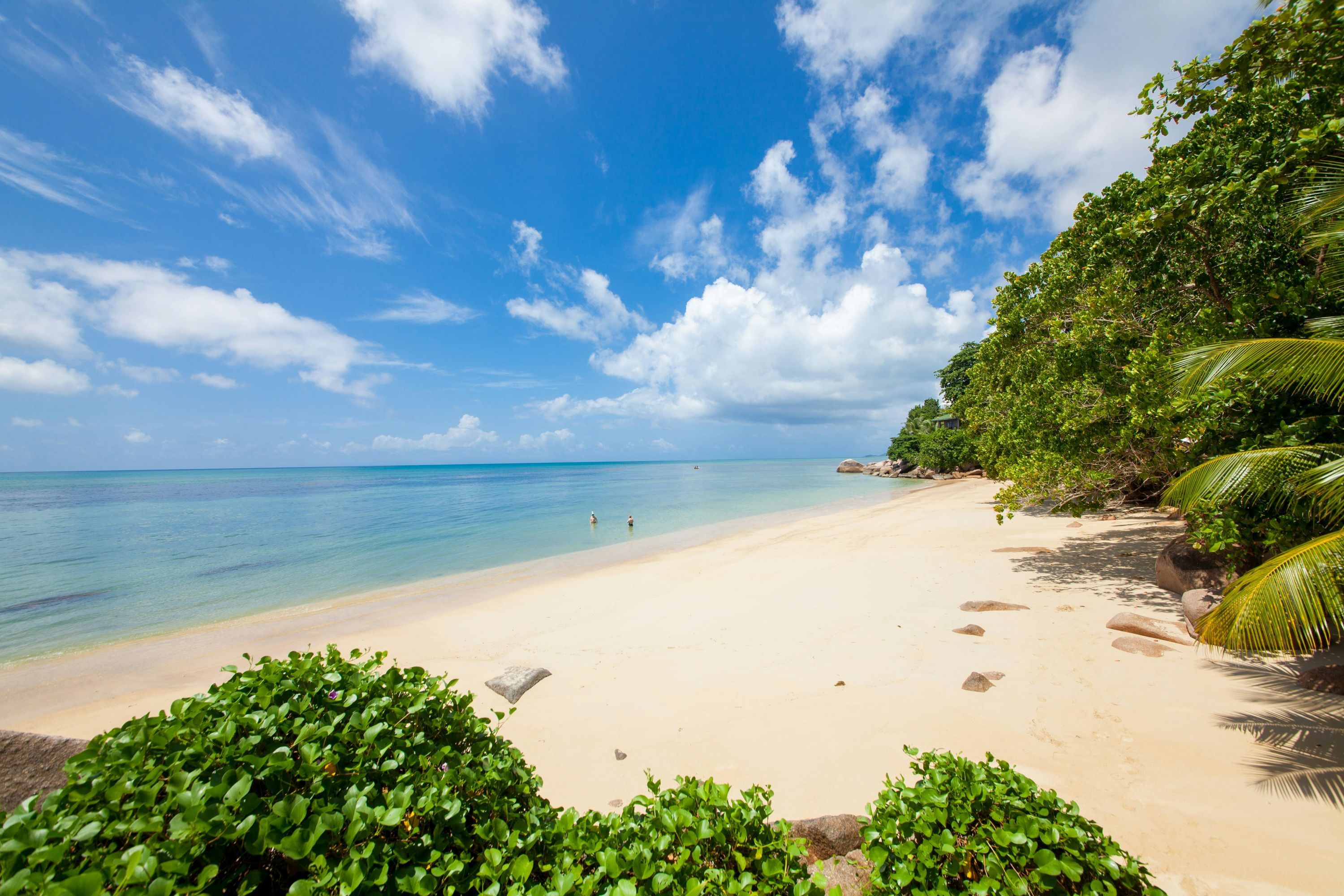 Strand