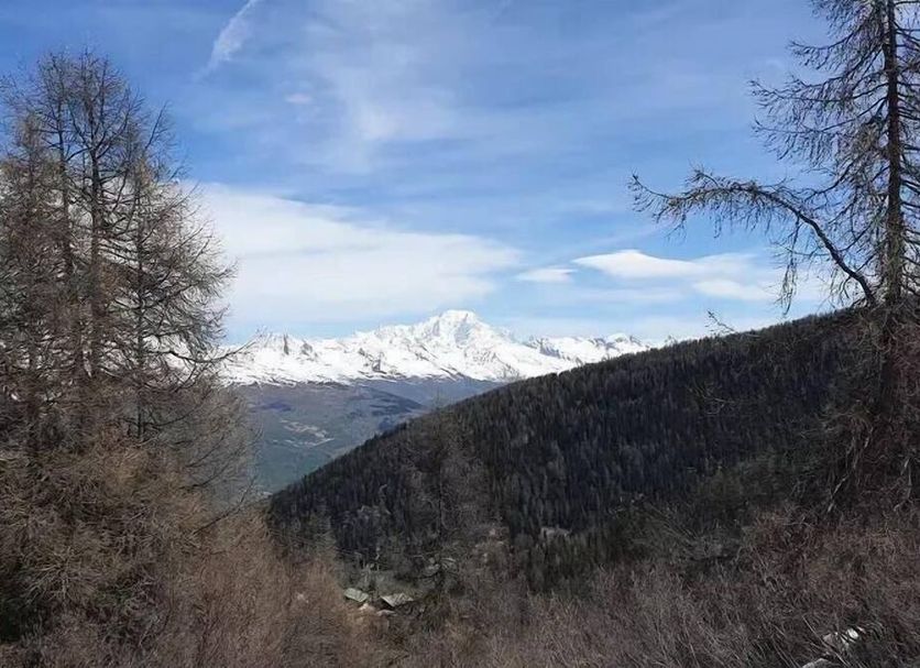 Utomhus Foto
