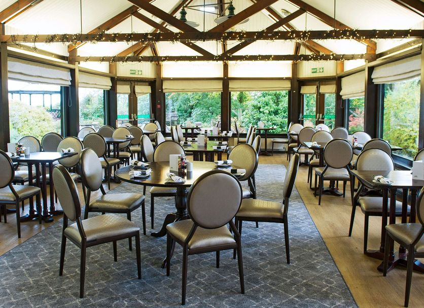 Restaurang Foto