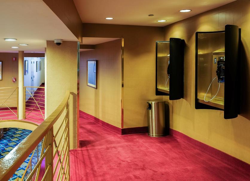 Hall Foto