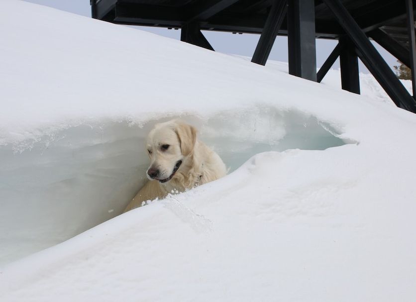 Hotellfaciliteter Foto