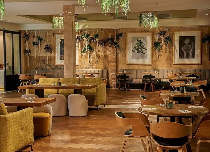 Restaurang Foto