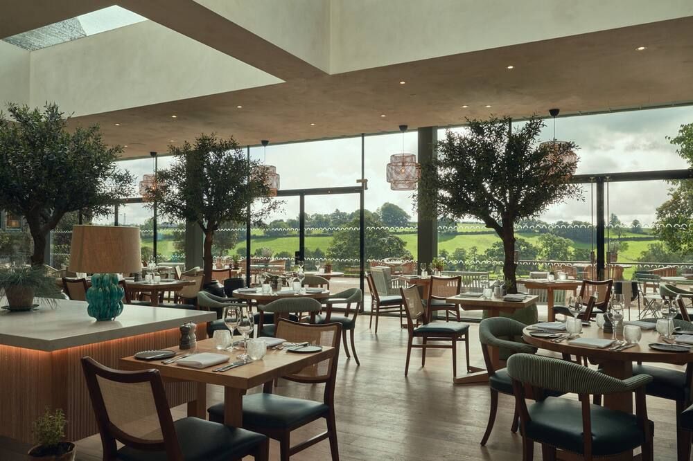 Restaurang Foto