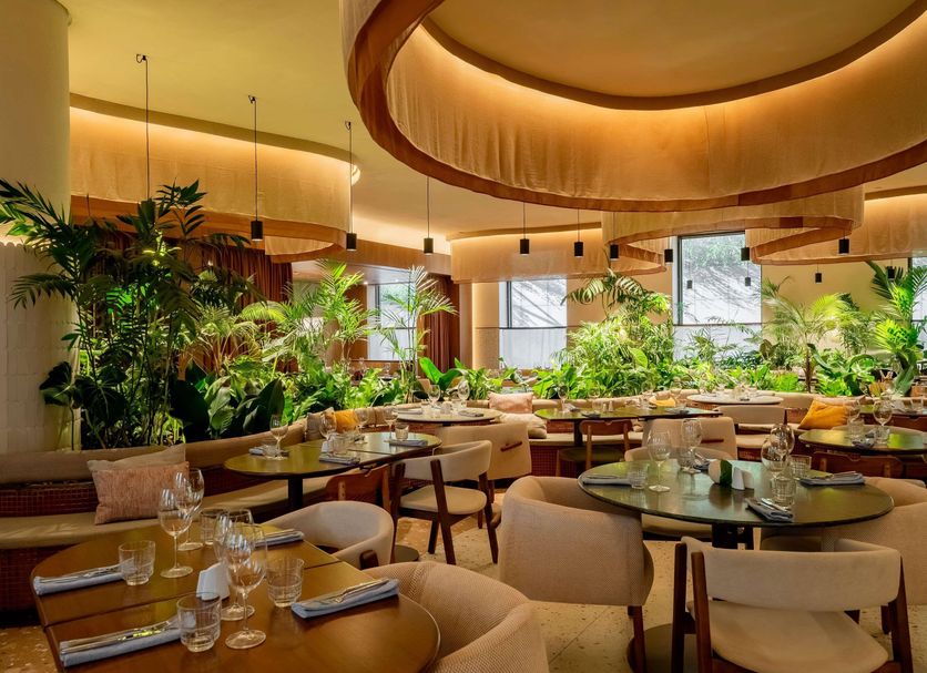 Restaurang Foto