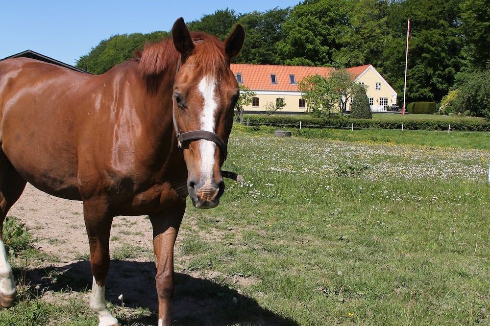 Övrigt